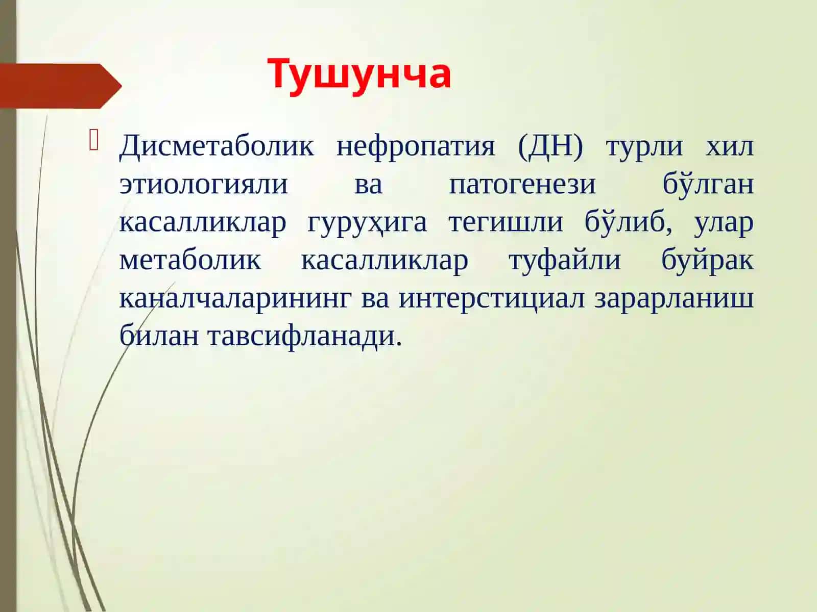 Дисметаболик нефропатиялар: Диабетик ва подагрик нефропатиялар 4