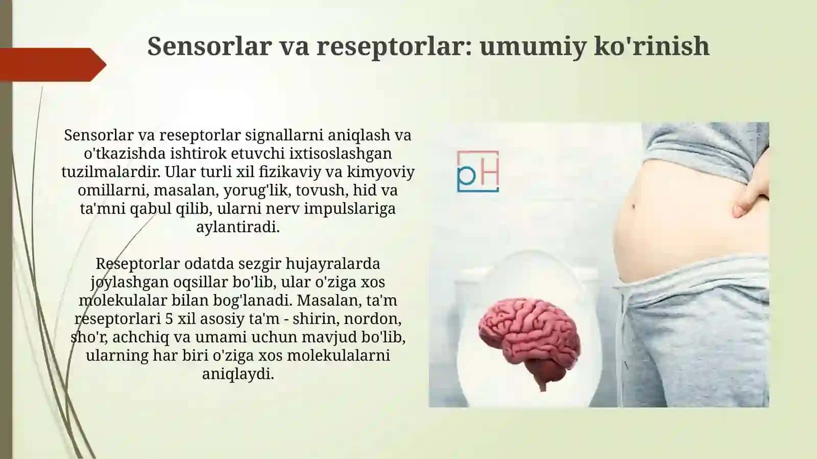 Sensor tizim tam bilishning biokimyoviy asosi ruhiy asab tizimi kasalligi kelib chiqish mexanizmi 4