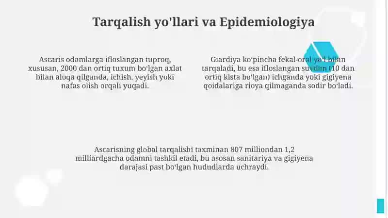 Parazitlar rishta odam askaridasi gijja 4