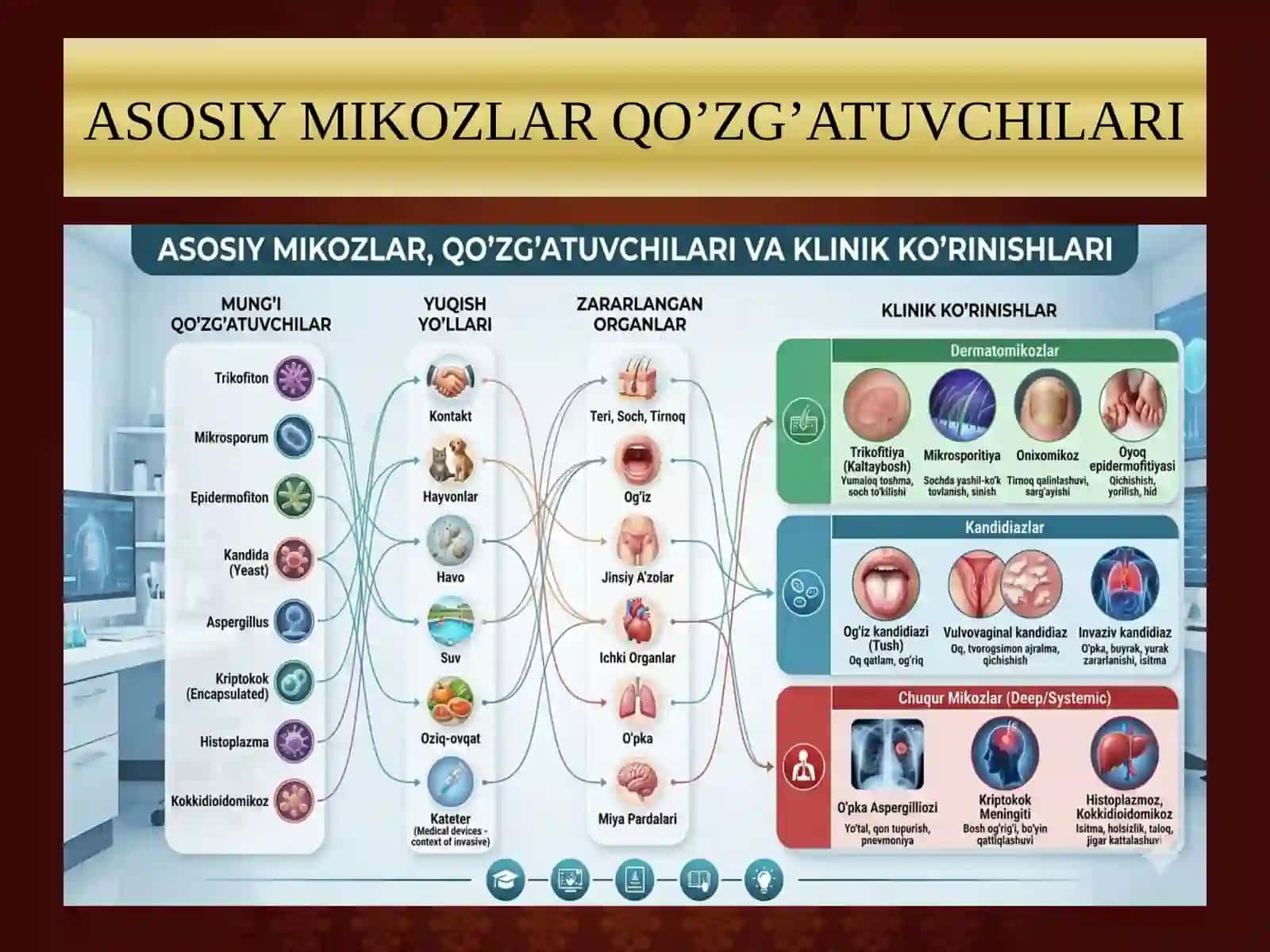 Zamburug'li kasalliklarning qo'zg'atuvchilari, patogenezi, laboratoriya tashxisi. prezentatsiya 4