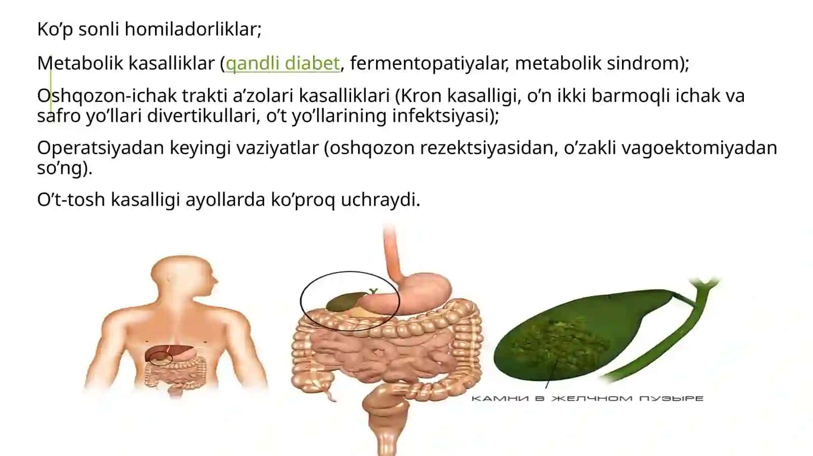 O’t-tosh kasalliklari 4