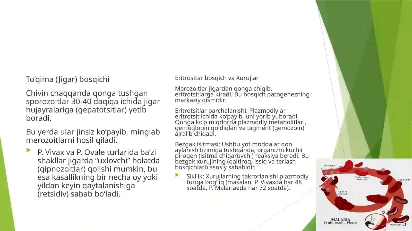 Bezgak 4