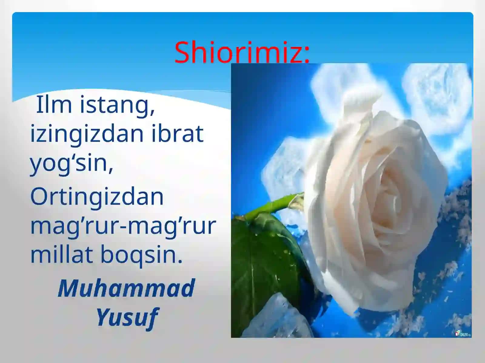 Muhammad Yusuf hayoti va ijodini o'rganish 4
