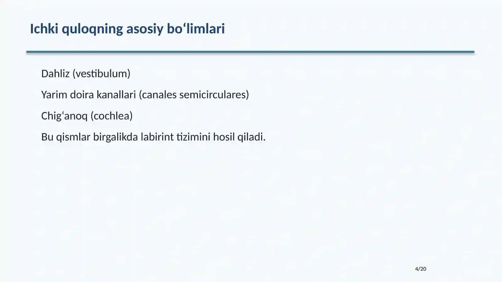 ICHKI QULOQ ANATOMIYASI 4