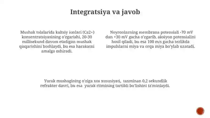 Qo‘zg‘aluvchan to‘qimalar fiziologiyasi 4