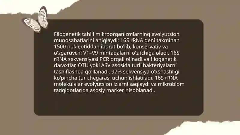 Mikroorganizmlarning zamonaviy sistematikasi 4
