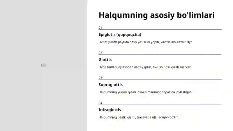 Halqum va uning bo'limlari 4