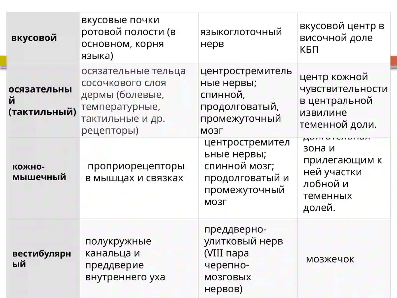 Анализатор 4