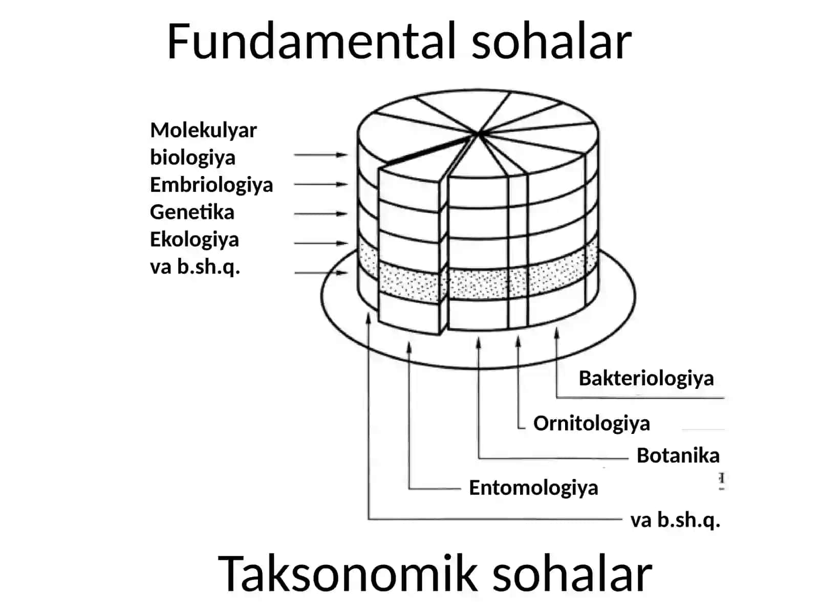 Biologiya fani, vazifalari, uslublari va boshqa fanlar bilan bog’liqligi. Biologik fanlar sistemasi. Tirik organizmlarning zamonaviy sistemasi 4