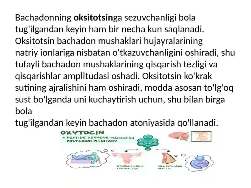 Farmakologiya Bachadon mushaklariga taʼsir koʻrsatuvchi moddalar 4