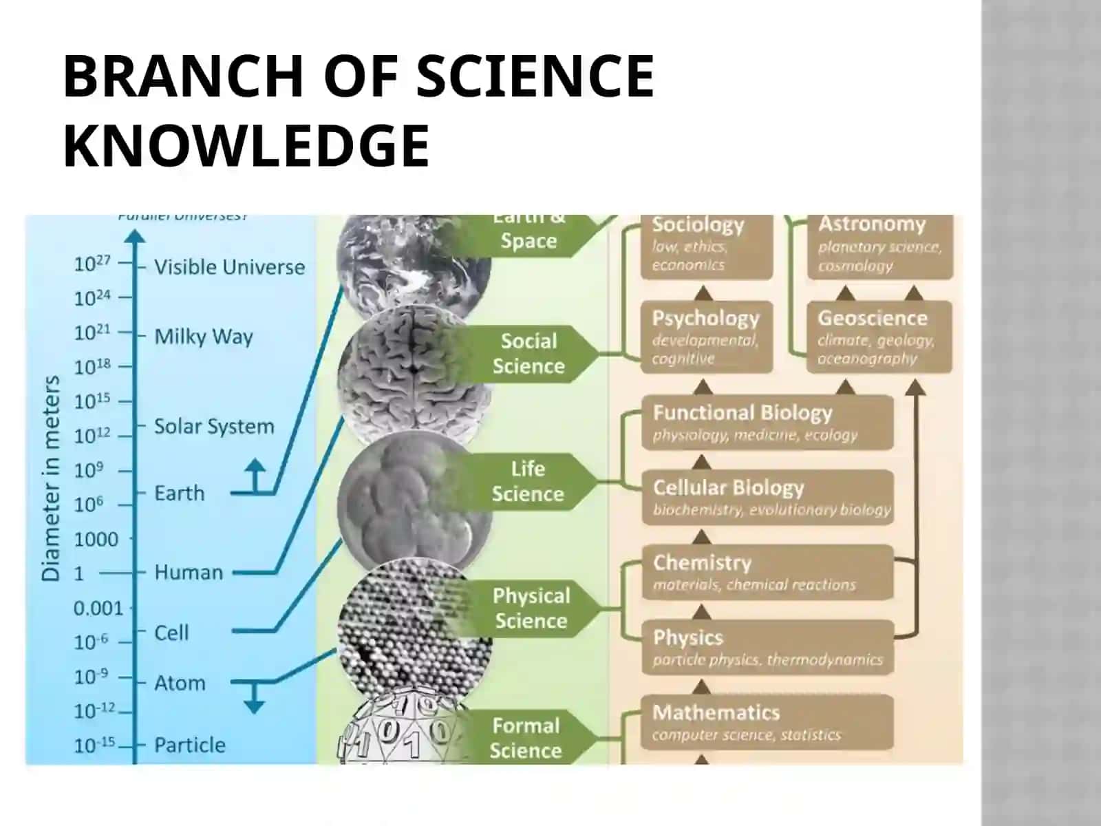 Science and Technology 4