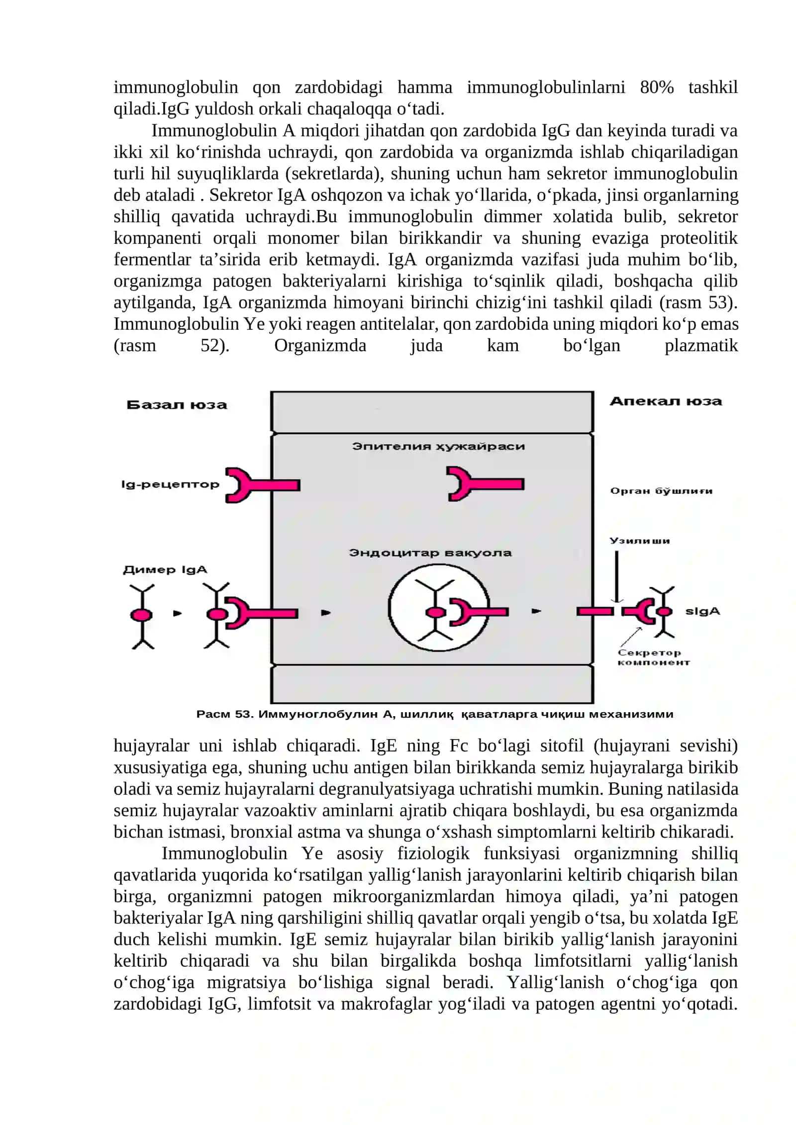 Antigen va antitelalar. Immunologik reaksiyalar, ularning tarkibiy qismlari (antigyenlar, antitelalar), qo‘yishdan maqsad. Diagnostikum va diagnostik zardoblar xaqida tushuncha. Diagnostik zardoblarni olish usullari 4