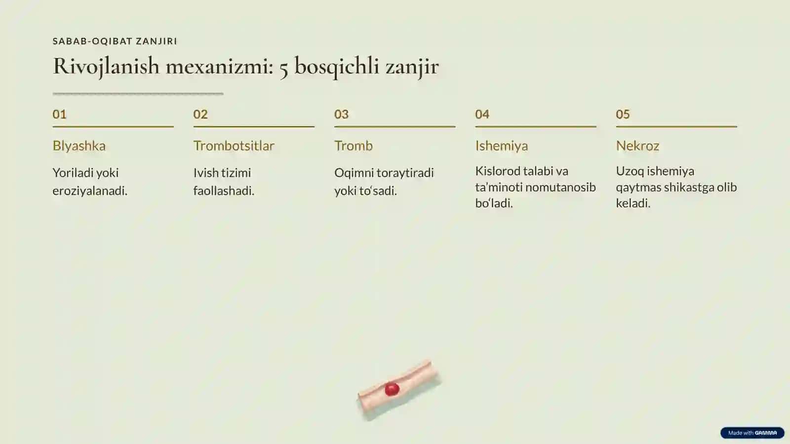 YURAK VA QON OQIMI 4