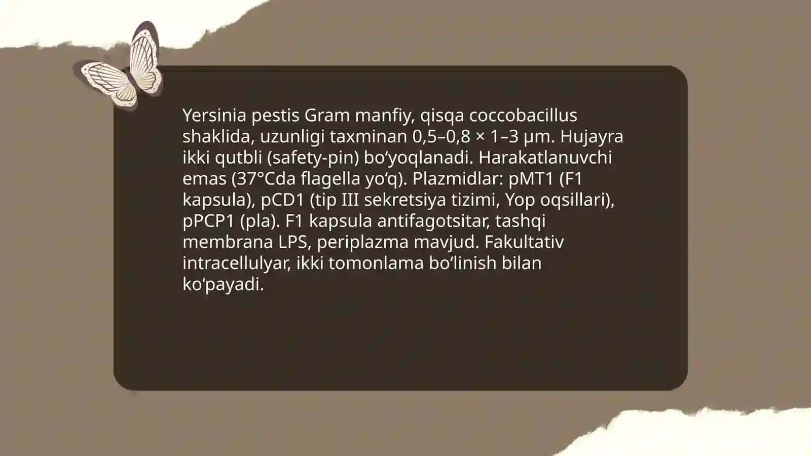 Õta xavfli zoonoz infeksiyalar: vabo qõzģatuvchisi morfologiyasi, xossalari, potogenezi, davosi, profilikatsiyasi 4