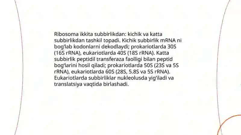 Ribosoma, golji apparatining tuzilishi 4