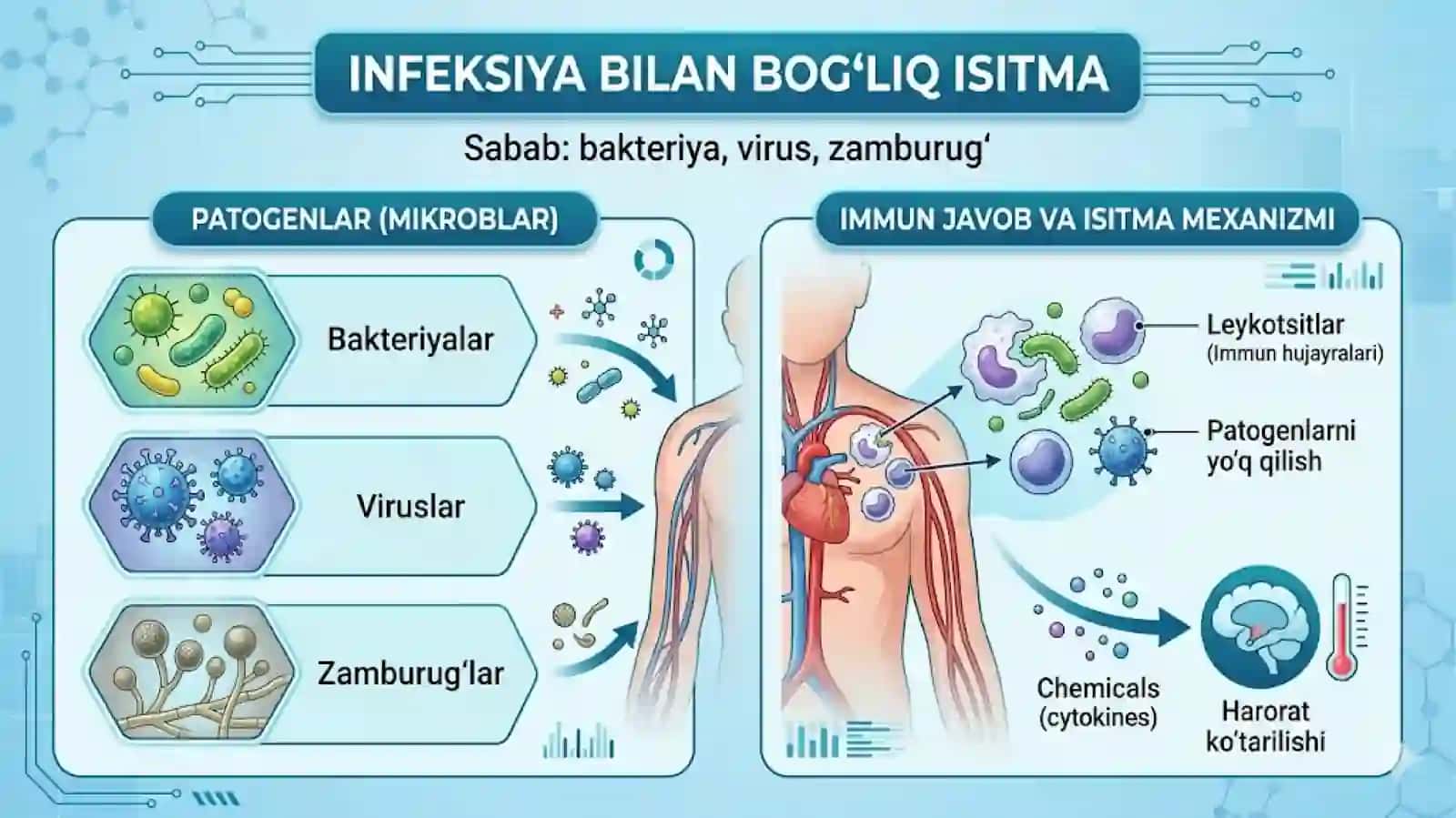 Infeksiya bilan bog‘liq bo‘lgan istmali kasalliklar (tuberkulez, septik xolatlar va h.k.) i infeksiya bilan bog‘liq bo‘lmagan istmali kasalliklar (revmatizm, onkologik kasalliklar, gematologik kasalliklar va h.k.) 4