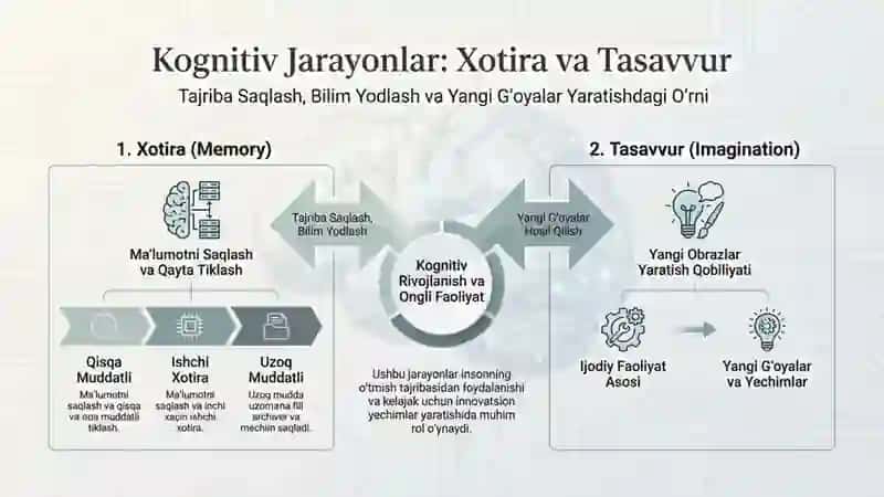 Kognitiv jarayonlarning shakllanishi. Insonda aks etirish darajalari 4