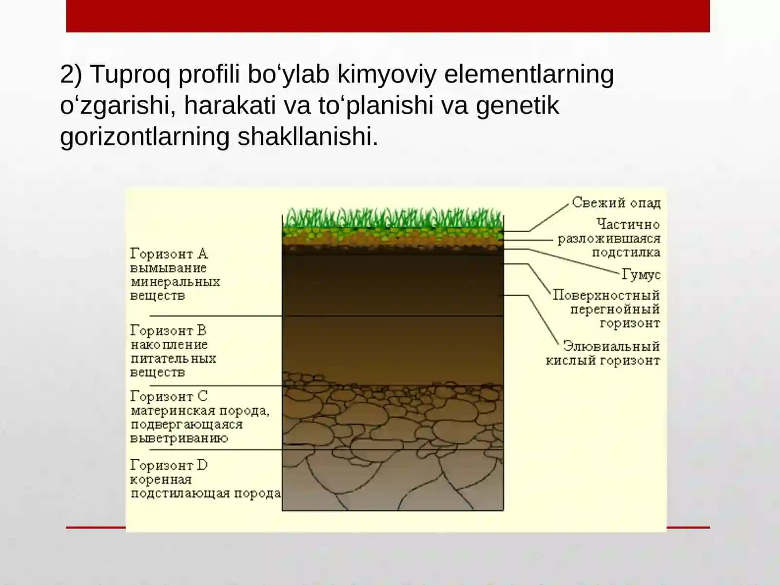 Tuproqni hosil qiluvchi omillar 4