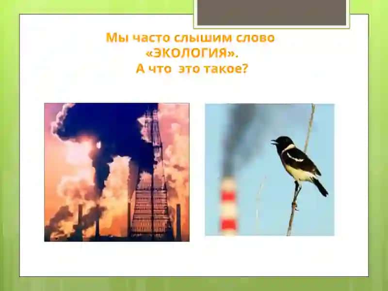 Охрана природы- всенародное дело 4