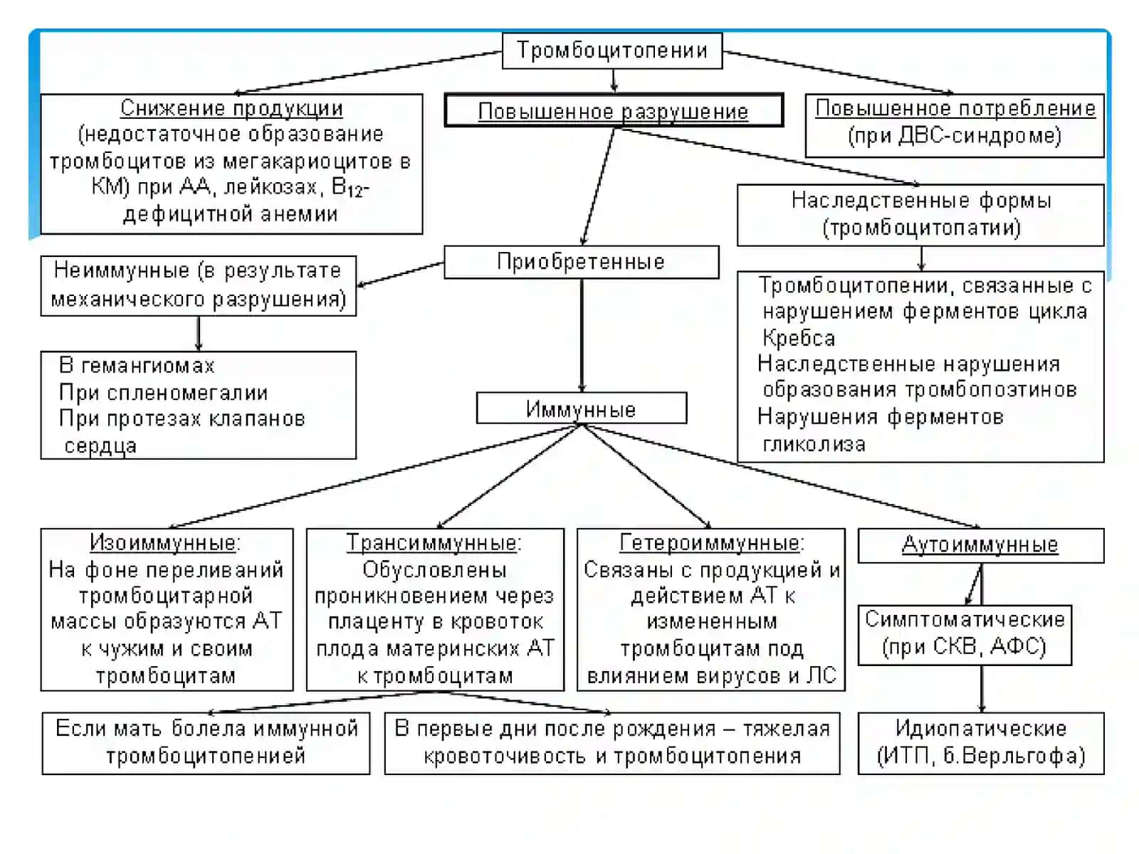 Angren Universiteti Davolash ishi fakulteti - Patalogik fizologiya fanidan 4