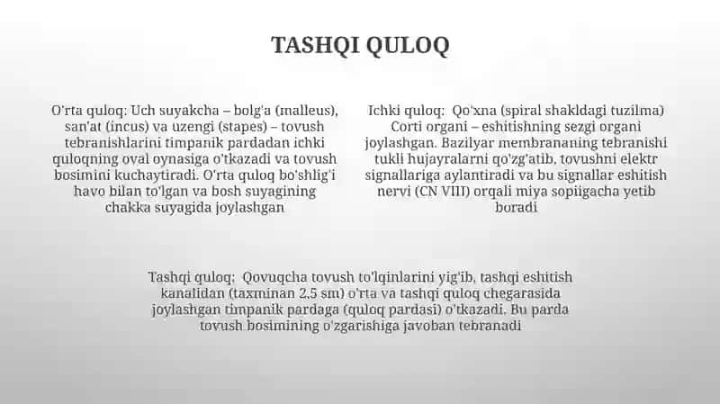 Eshituv va muvozanat a'zolari 4