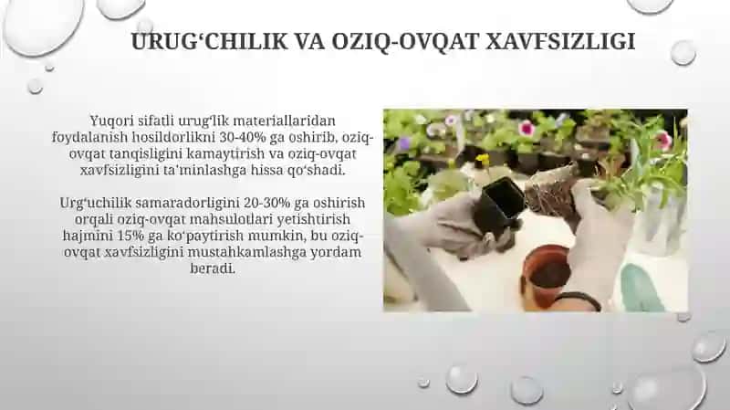 Urug'shunoslik VA urug'chilikning vazifalari hamda uni tashkil etish 4