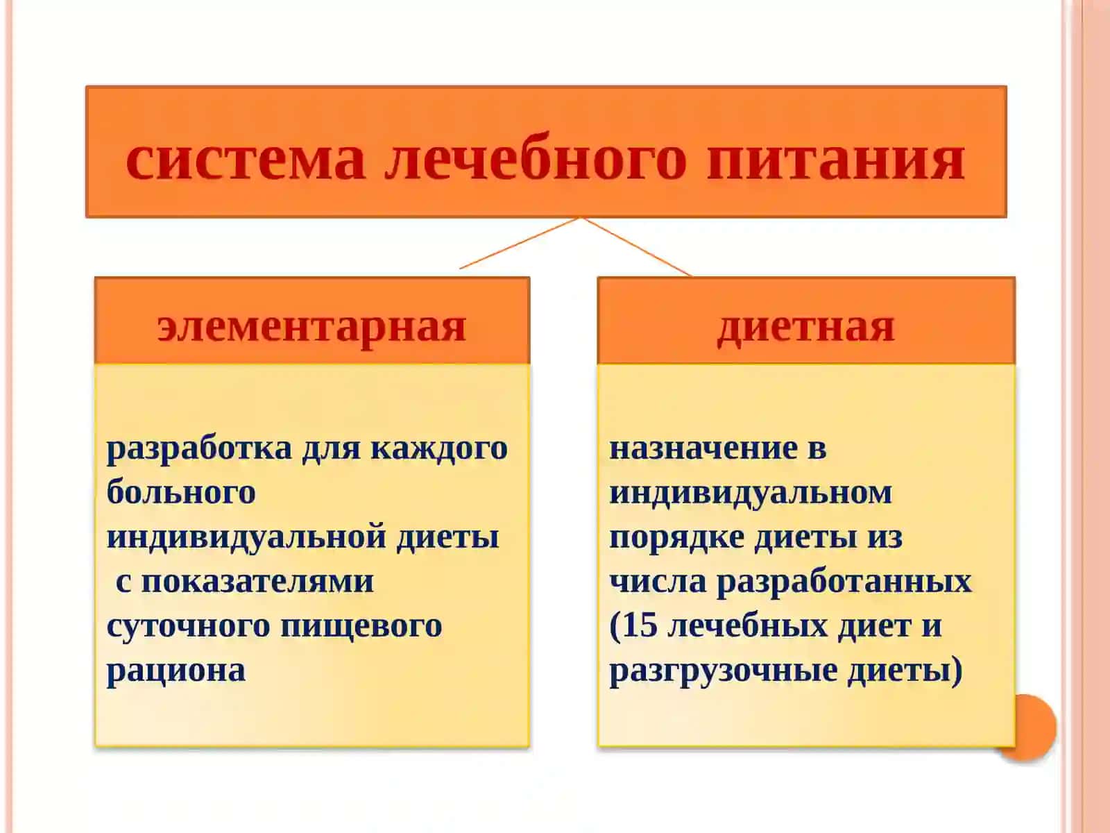 ГИГИЕНА ПИТАНИЯ 4