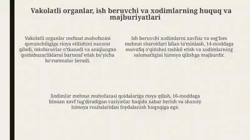 Mehnatni muhofaza qilish sohasida jamoat xavfsizligini boshqarishning tuzilishi 4