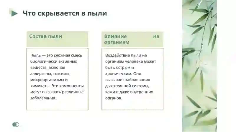Пыль, биоактивные вещества и здоровье 4
