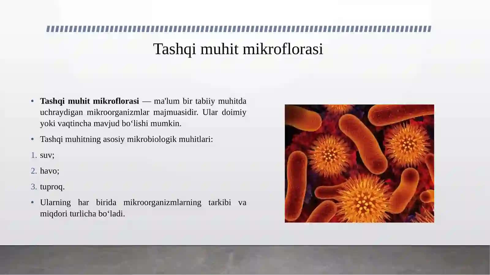 Mikroorganizmlar ekologiyasi. Tashqi muhit mikroflorasi (suv, havo, tuproq). 4