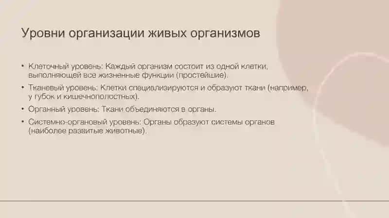 Простейшие животные. Их морфология, строение и методы изучения. 4