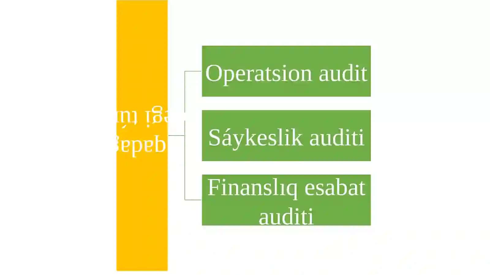 Audittiń xaliqaraliq standartları sisteması hám olardiń klassifikaciyası 4