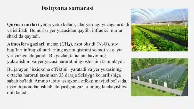 Issiqxona samarasi 4
