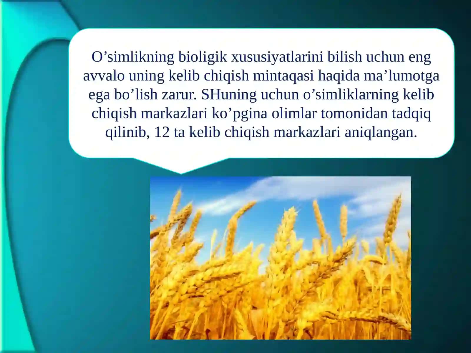 O’simlikshunоslik qishlоq хo’jаligining еtаkchi tаrmоg’i ekаnligi 4