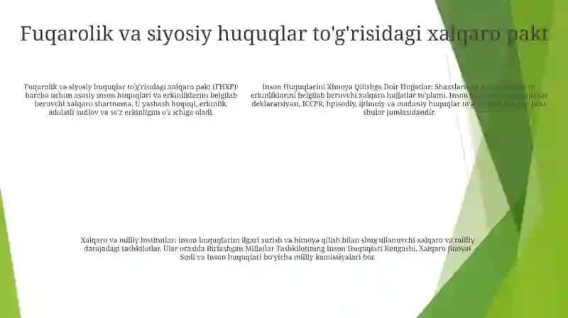 Inson Huquqlarini Ximoya Qilishga Doir Hujjatlar, Xalqaro Va Milliy Institutlar 4