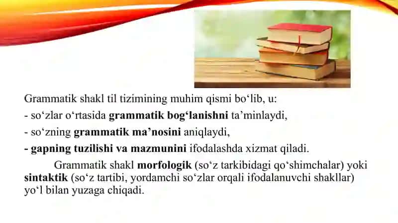 Grammatik shakllarning ko'chmama'noda qo'llanilishi 4