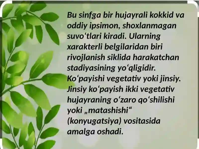 Botanika darsi tahlili 4