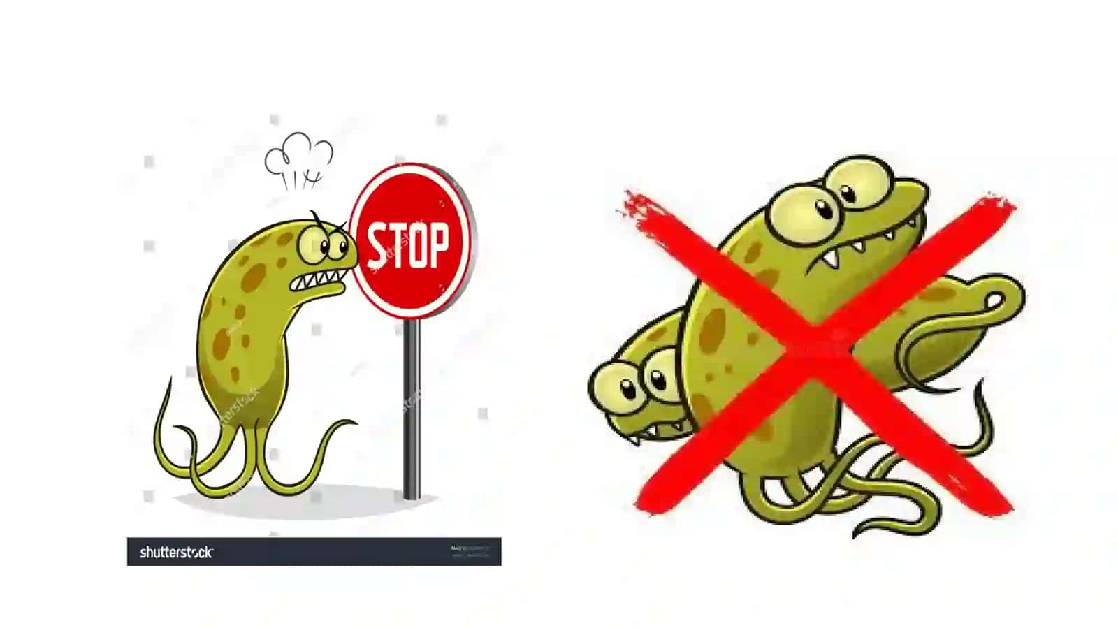 BIOTSIDLAR – BIOZARARLANISHDAN  HIMOYA QILISH VOSITASI 4