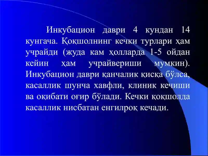 Қоқшол 4