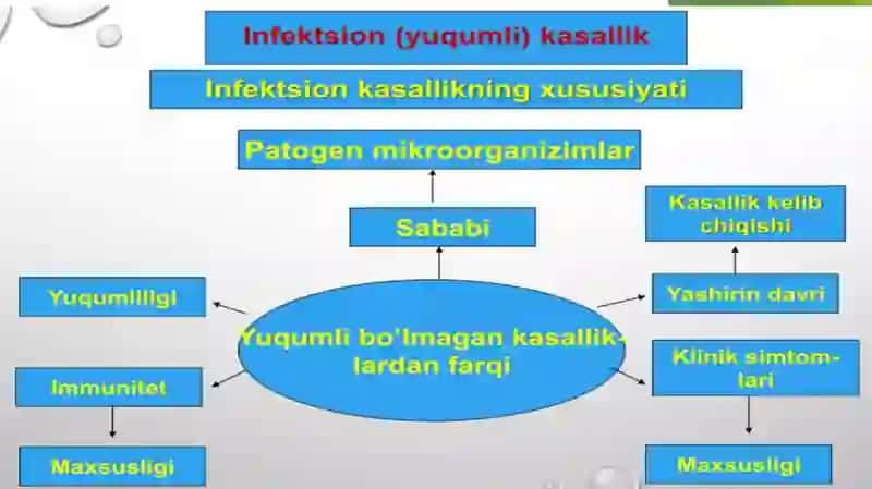 Infeksiya haqida ta'limot 4