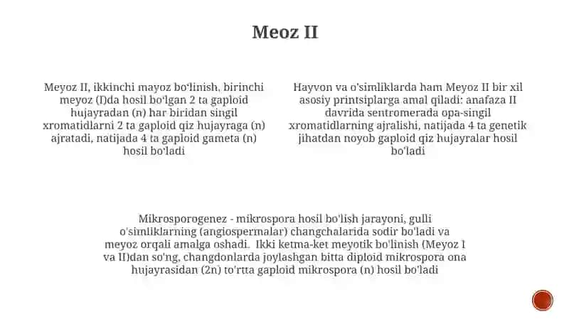 Mikrosprogenez 4