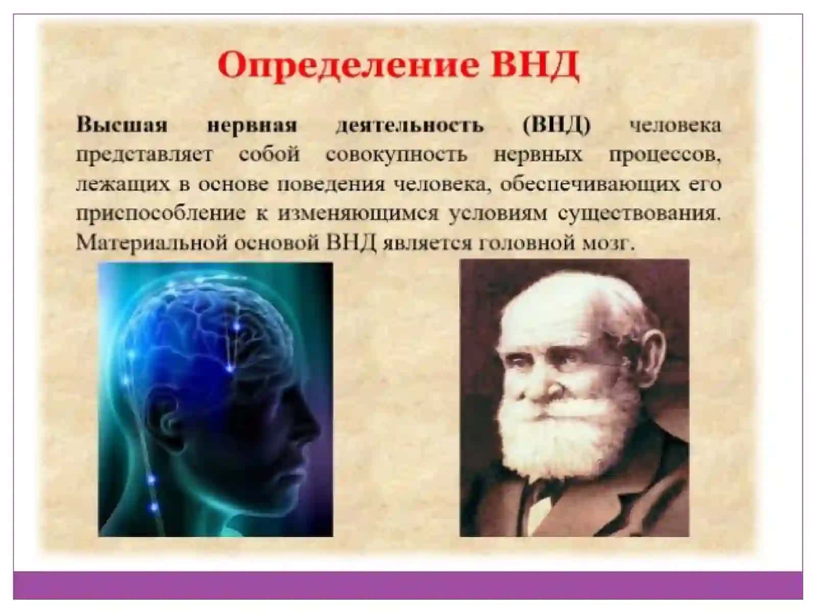 ВОЗРАСТНЫЕ ОСОБЕННОСТИВНД 4