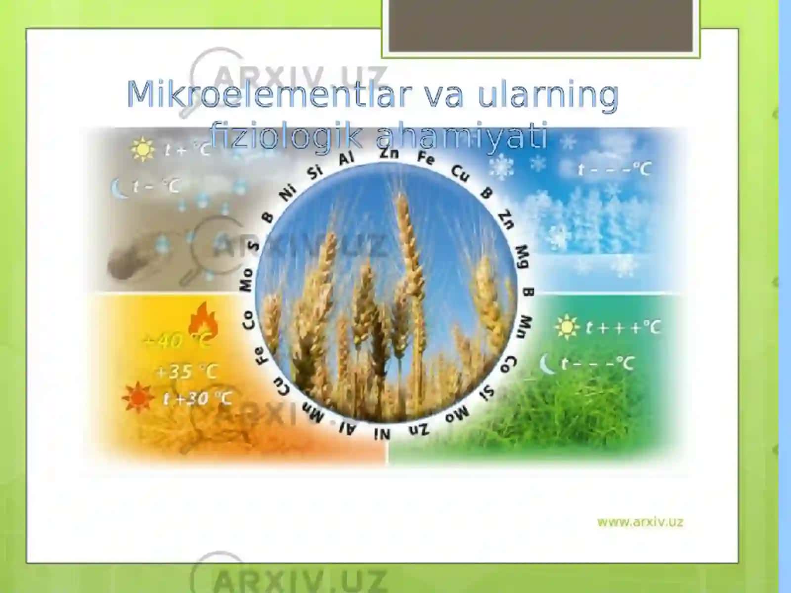 Mikroelementlarni o'simliklar hayotidagi ahamiyati 4
