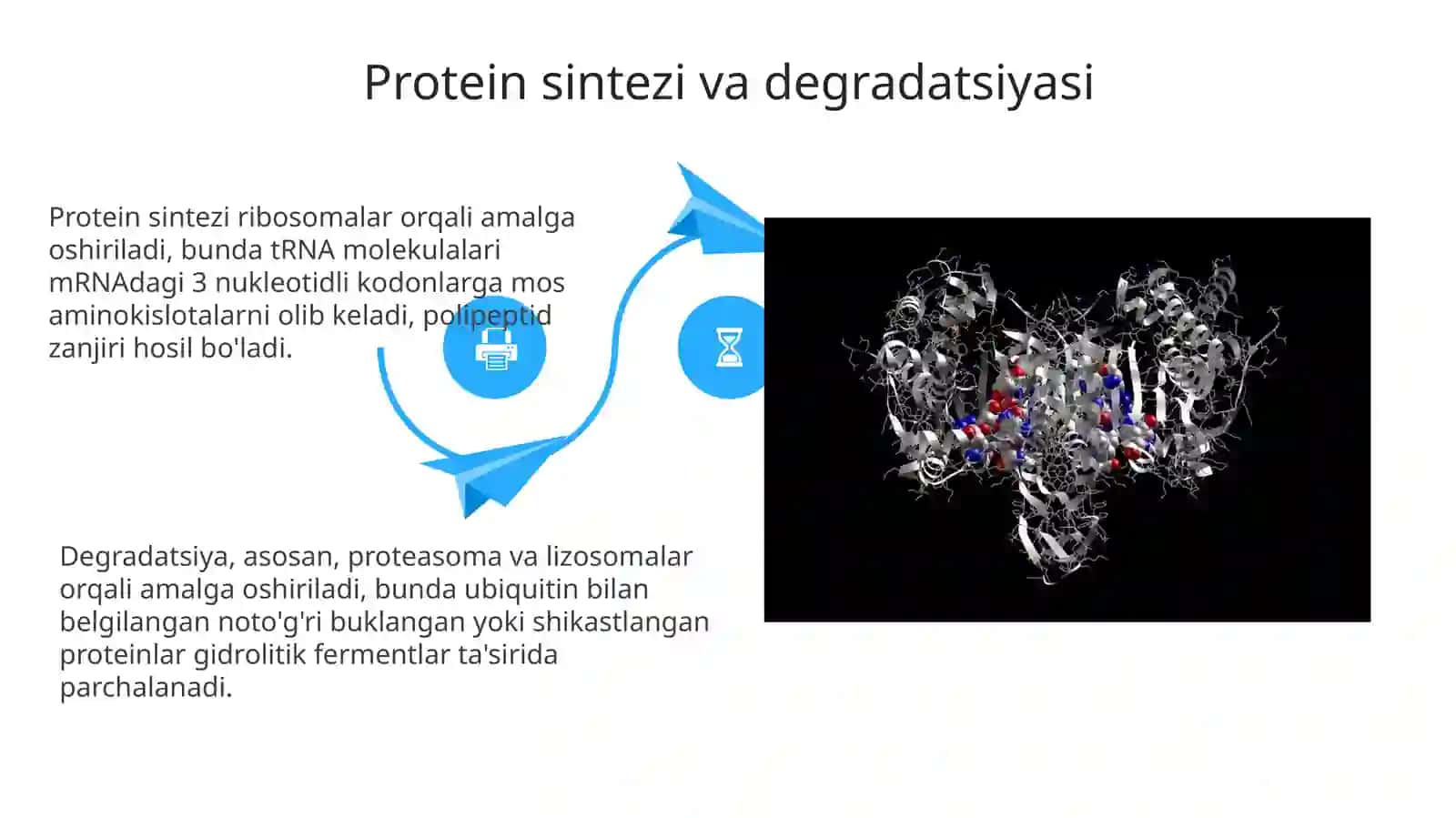 Odam organizmida oqsilarning biokimyoviy ozgarishi 4