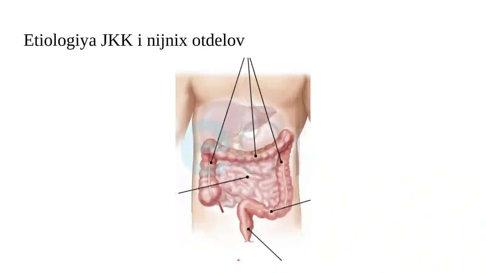 Oshqozon-ichak qon ketishlarini zamonaviy endoskopik davolash 4