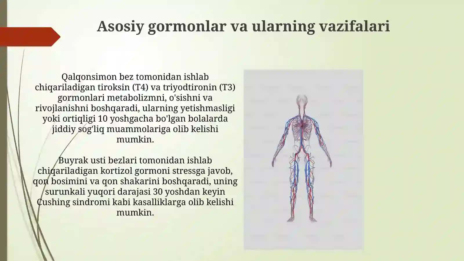 Inson organizmidagi garmonlar 4