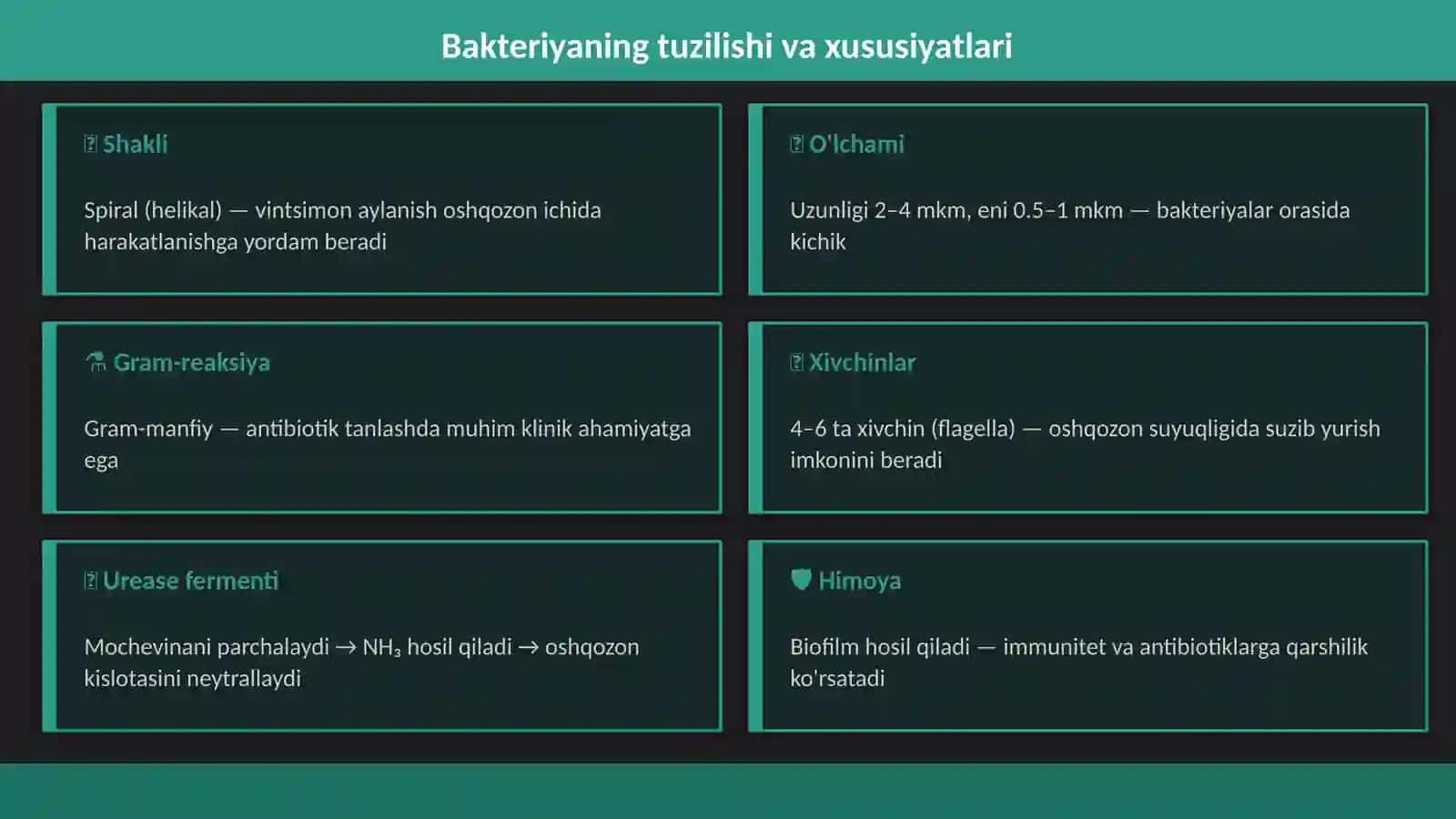 Helicobacter pylori (H. pylori) va uning sog'lom organizmga ta'siri 4