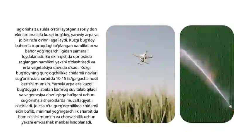 Iqlim o'zgarishi sharoitida sug'orishsiz usulda o'stiriladigan ekinlarning barqarorligini o'rganish 4