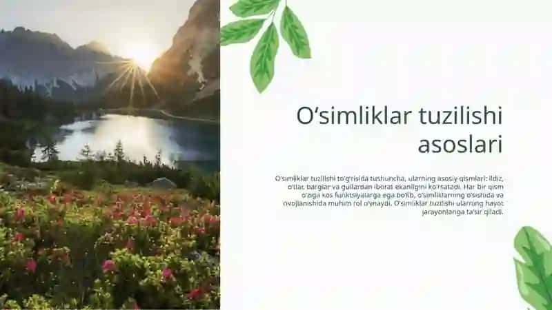 O'simliklar anatomiyasi va fiziologiyasi 4