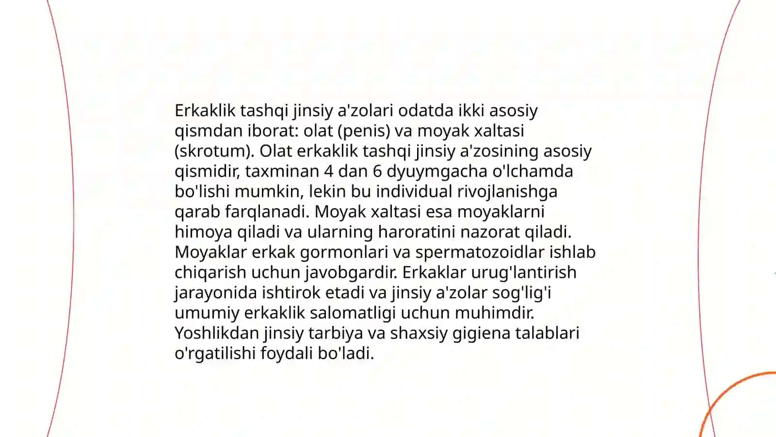 Erkaklik tashqi va ichki jinsiy a'zolari 4